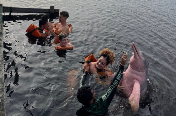 River Dolphins